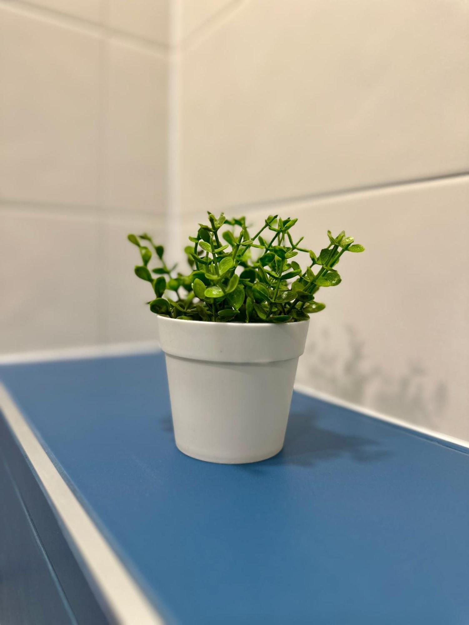 Noble House Comfort Place Σόφια Εξωτερικό φωτογραφία